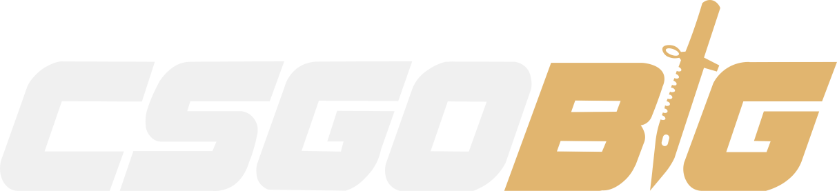 CSGOBIG logo